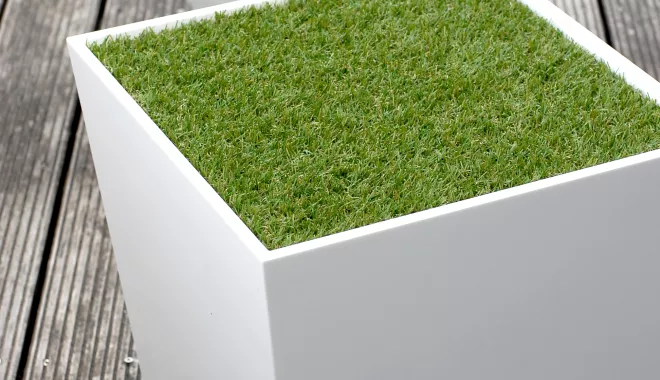 HIMACS: Grass Box