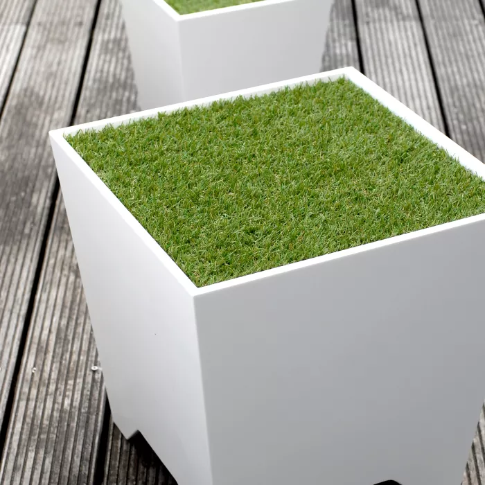 HIMACS: Grass Box