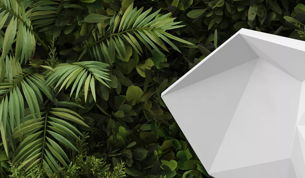 HIMACS and Aska invite you to venture into a pop-up jungle in the heart of Paris