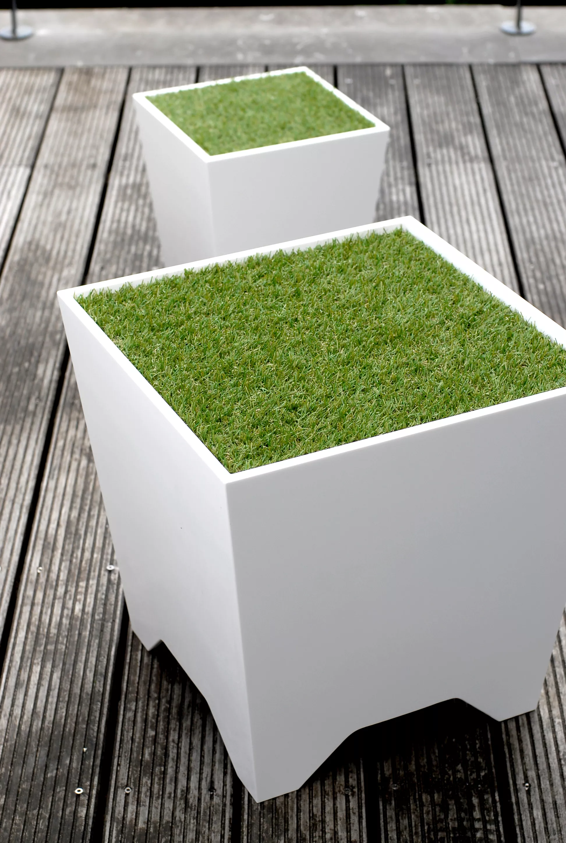 Grass Box