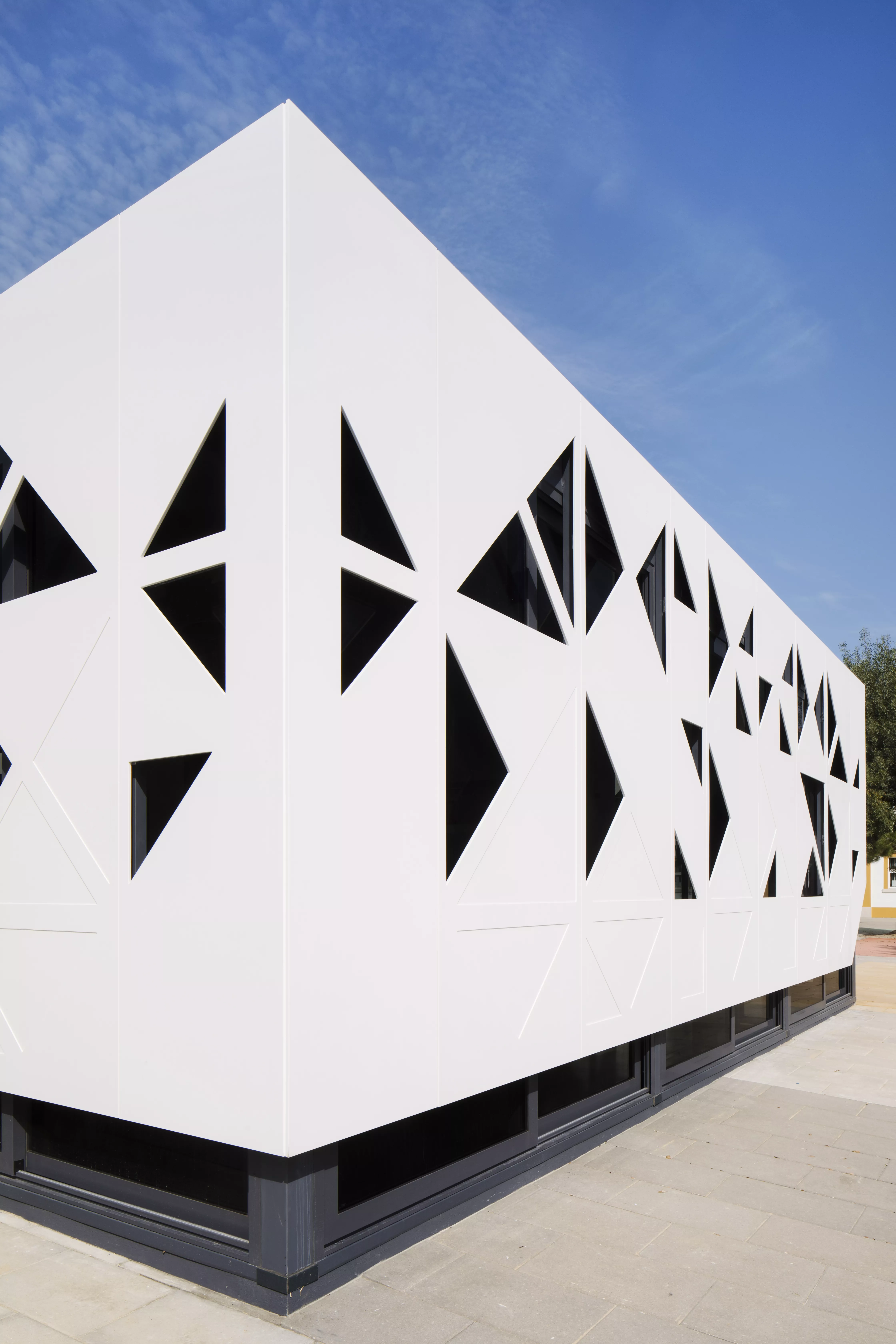 Spectacular HIMACS façade: traditional school architecture meets high-tech material 